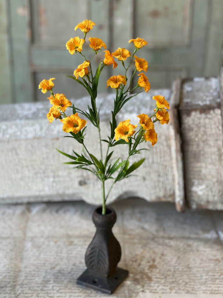 Marigold Flower Stem