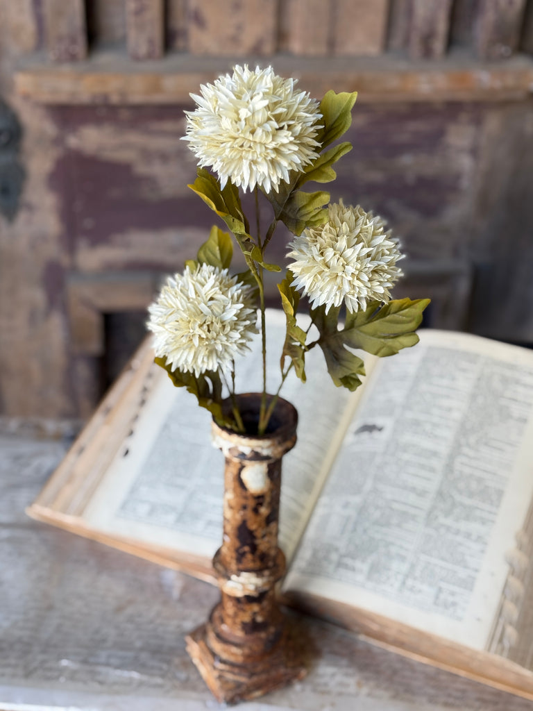 Jester Bloom Stem
