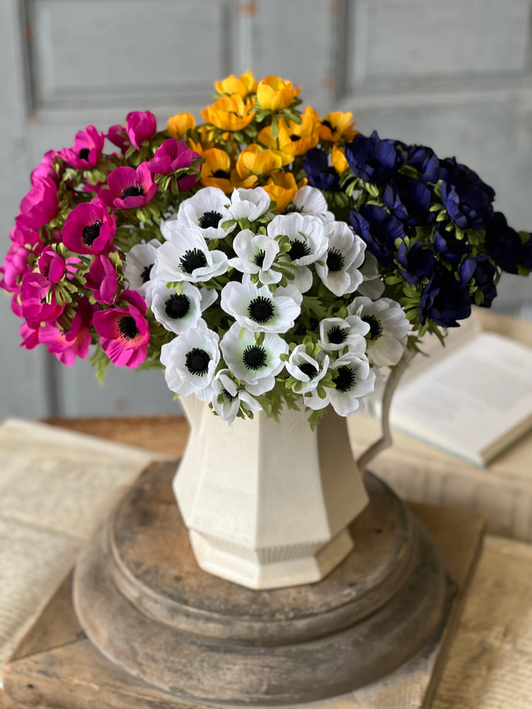 Adonis Blooms