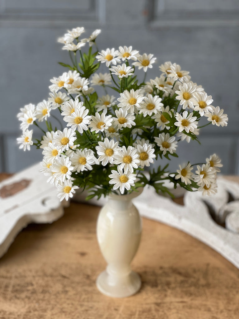 Daisy Bundle