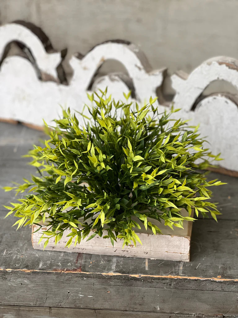 Emerald Ash Greenery