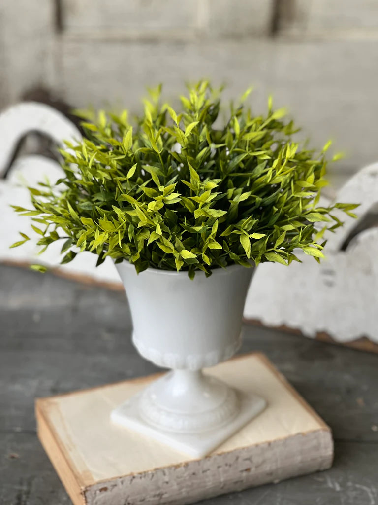 Emerald Ash Greenery