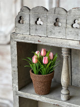Teacup Tulip Pot