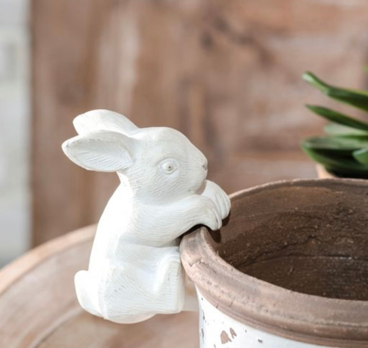 bunny hanging planter Climbing Bunny Pot Hanger