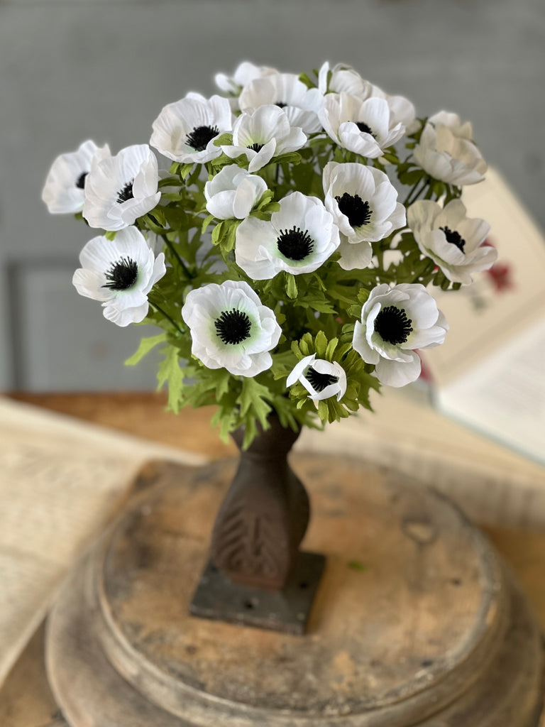 Adonis Blooms