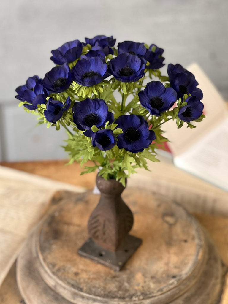 Adonis Blooms