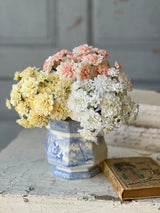 Petal Pusher Flower Bundle