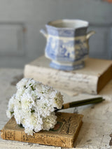 Petal Pusher Flower Bundle