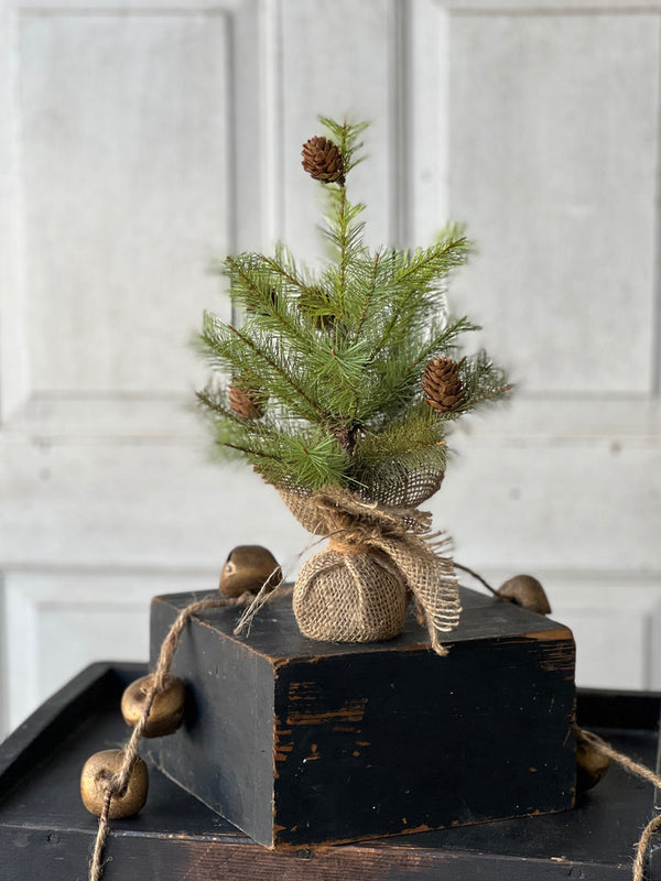 Greenup Pine Tree 12"