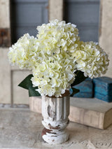 Harkness Hydrangea Bundle