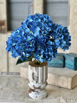 Harkness Hydrangea Bundle
