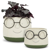 Glasses Planter