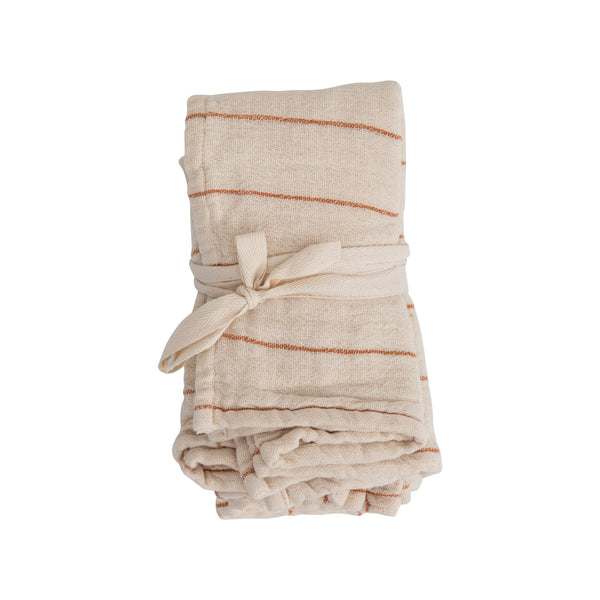 Double Cloth Napkin Set