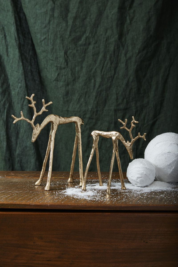 Rex Reindeer