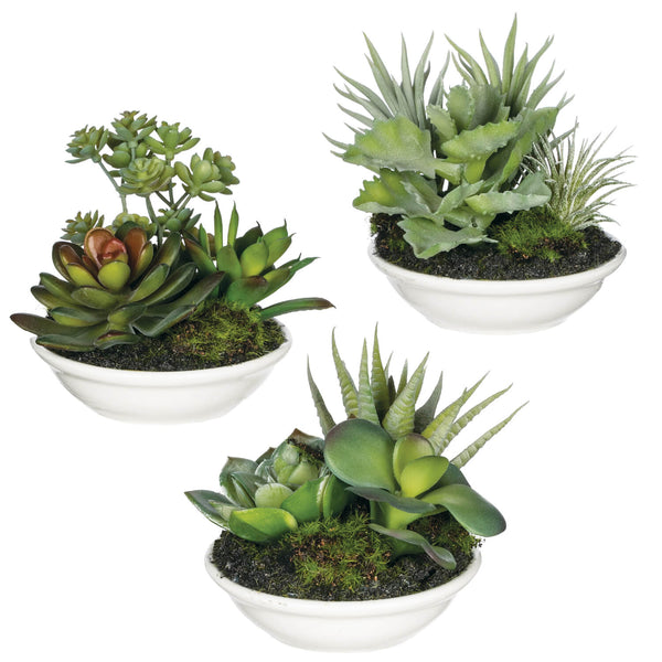 zz plant potting soil ZZ Plant - Large (2-3' tall) Cement Grey Planter